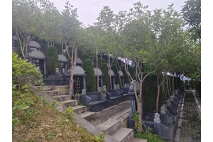 龙居山陵园安葬 亲人