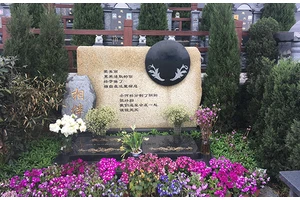 龙居山，墓型
